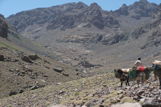 3 Days Trek in Toubkal Morocco